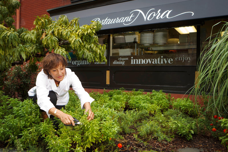 1-nora-in-garden