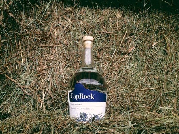 1Gin-e1441757835501