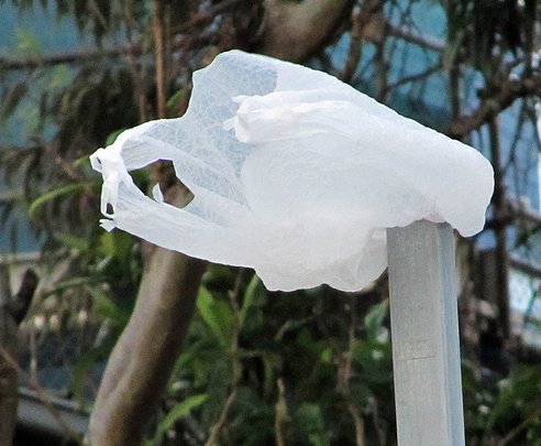 20120515-plastic-bag-on-pole