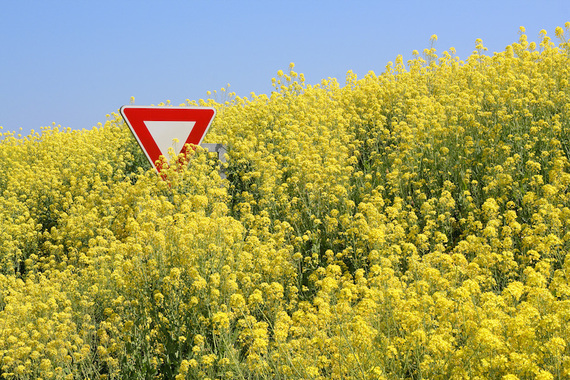 Stop aux OGM - Stop GMO