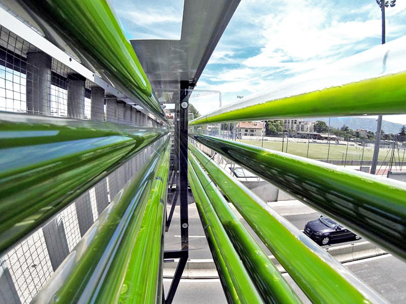 4+cloud-collective-algae-farm