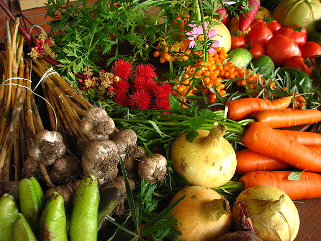 640px-Ecologically_grown_vegetables