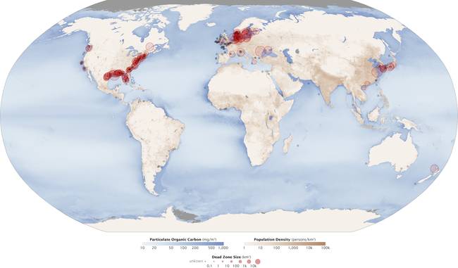 Aquatic_Dead_Zones.jpeg.650x0_q70_crop-smart