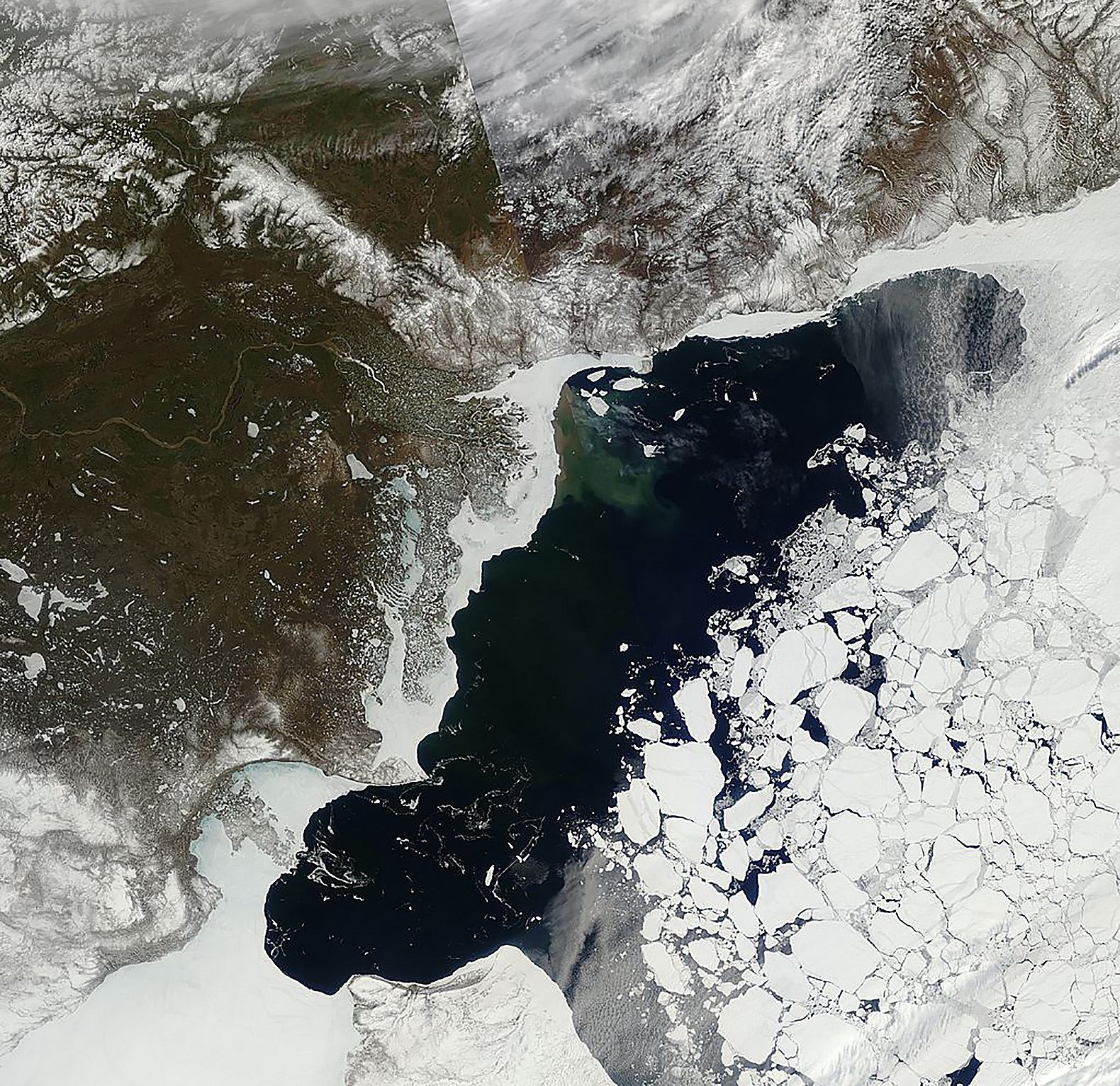Arctic-Sea-Ice