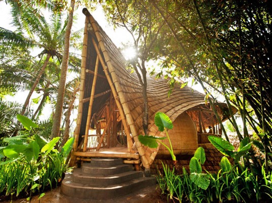 Bamboo