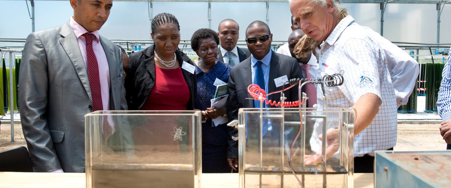 Ben-Zeelie-ZMMU-Coalgae-demo-1580x658