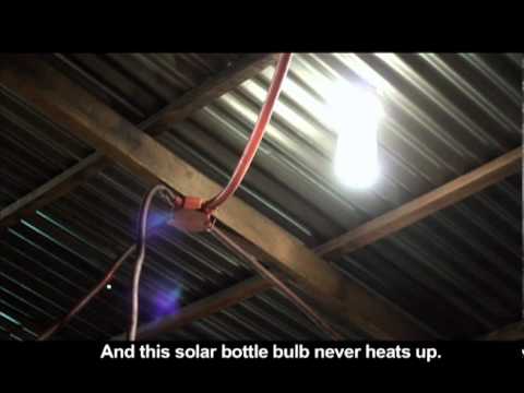 Bulb