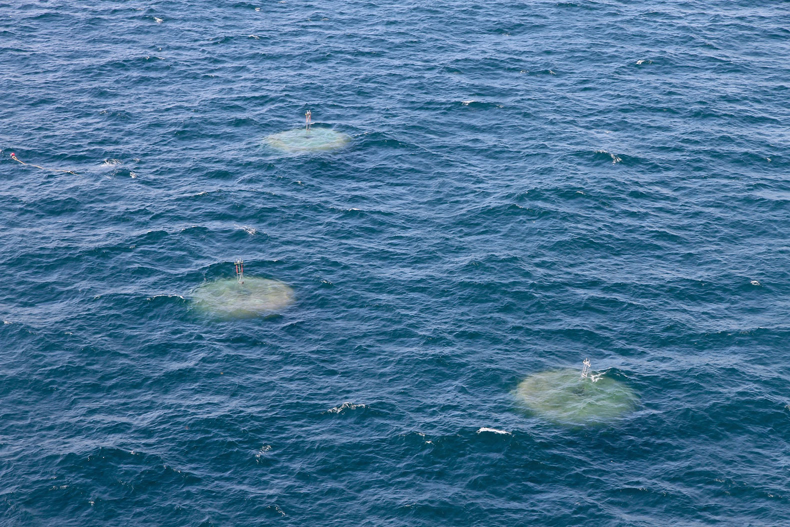 Carnegie-Wave-Energy-Array