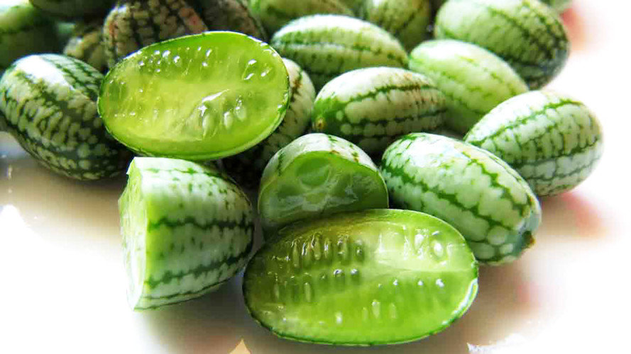 Cucamelon-Sliced-889x500