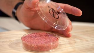 Cultured-Beef-01-320-80