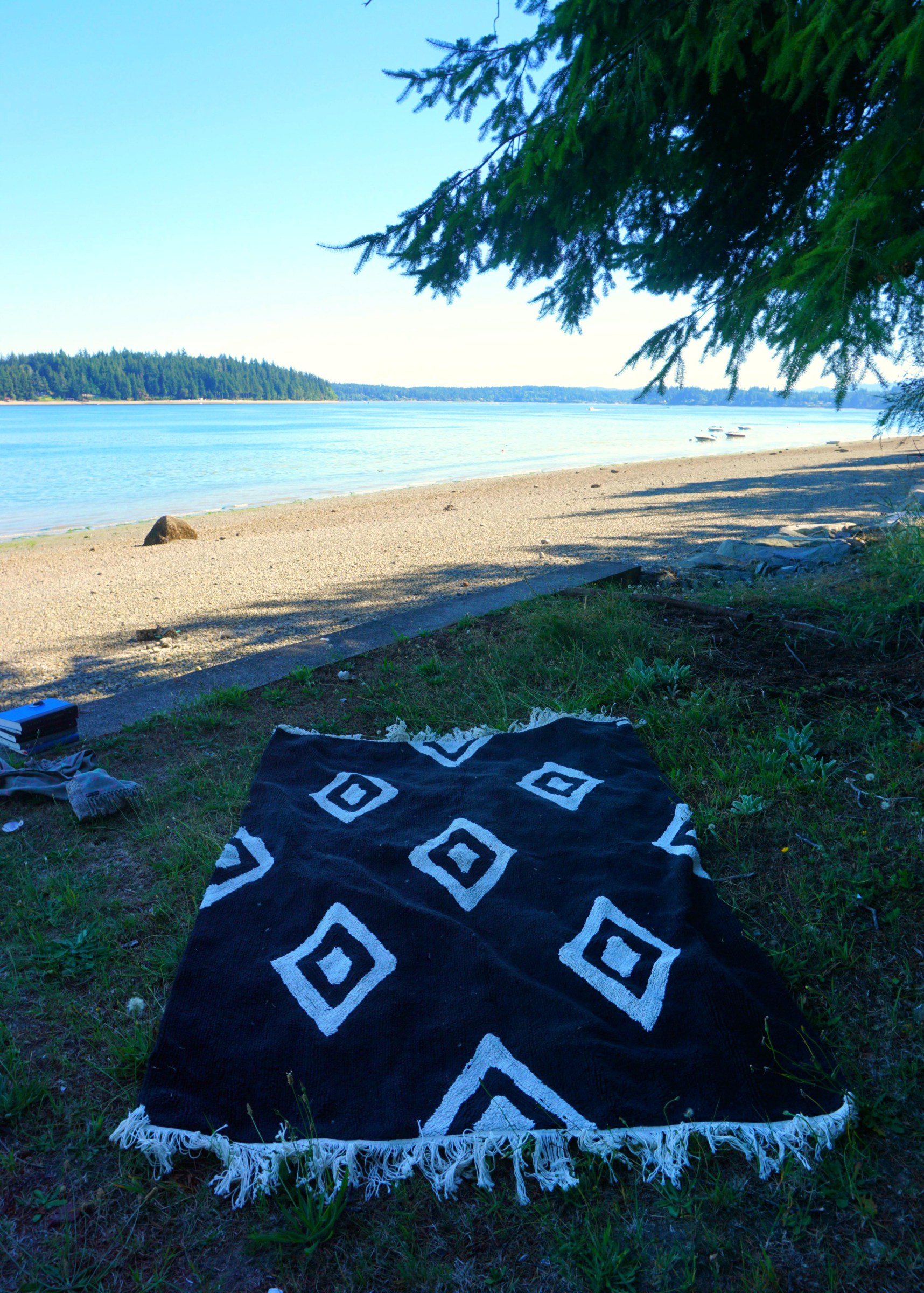 Eld-Inlet-Picnic-1
