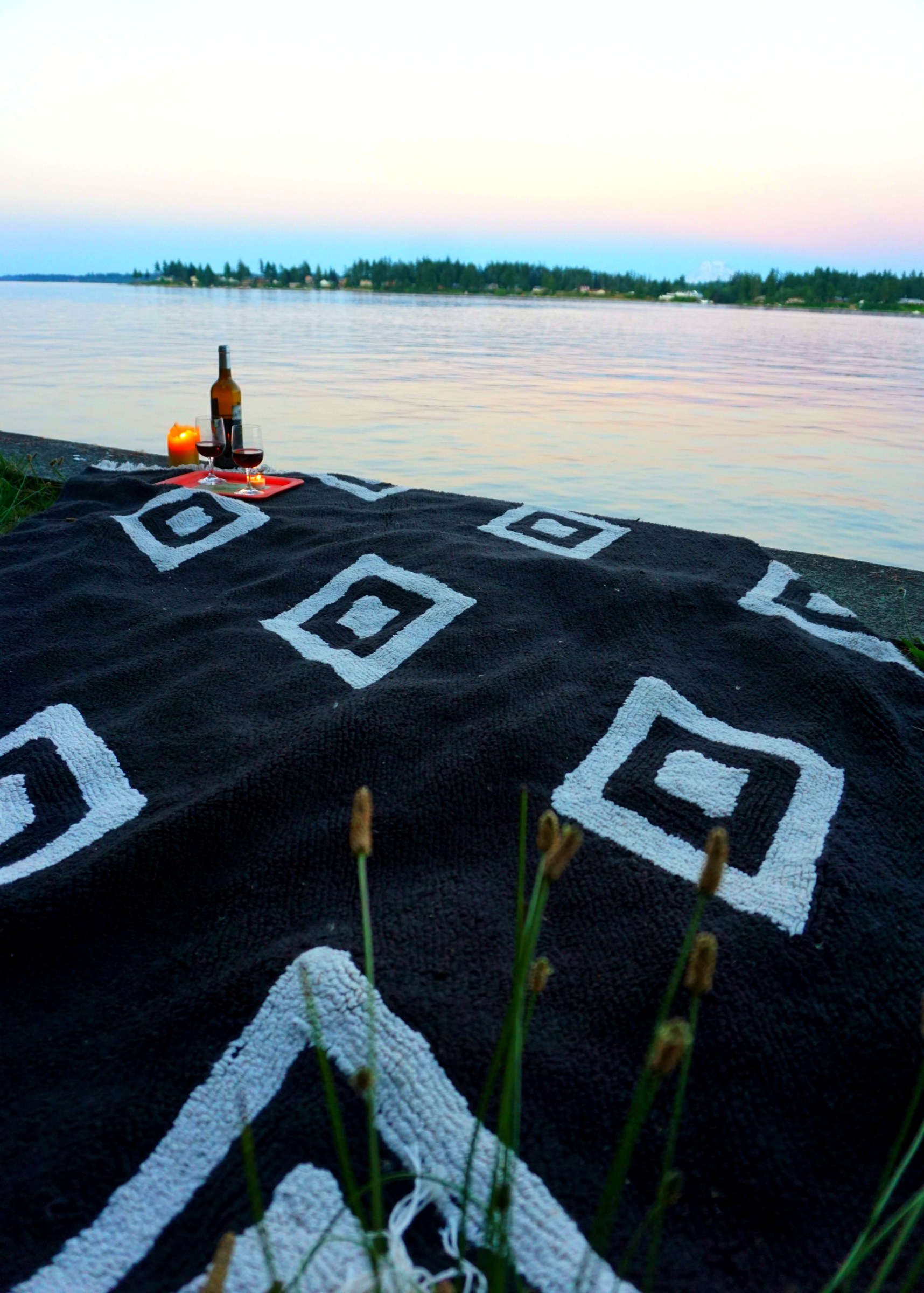 Eld-Inlet-Picnic-3