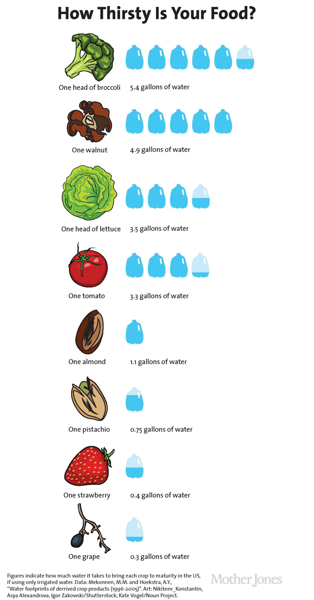 Food Water