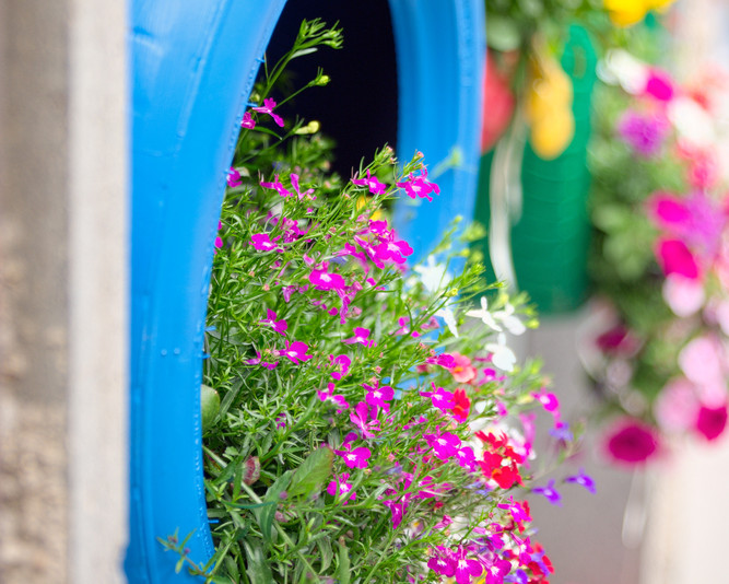 Garden-Planters-1-667x534
