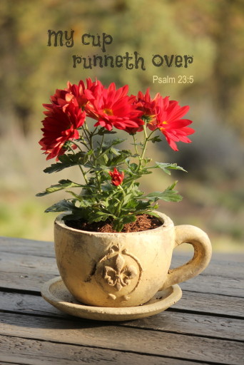 Garden-Planters-2-342x512