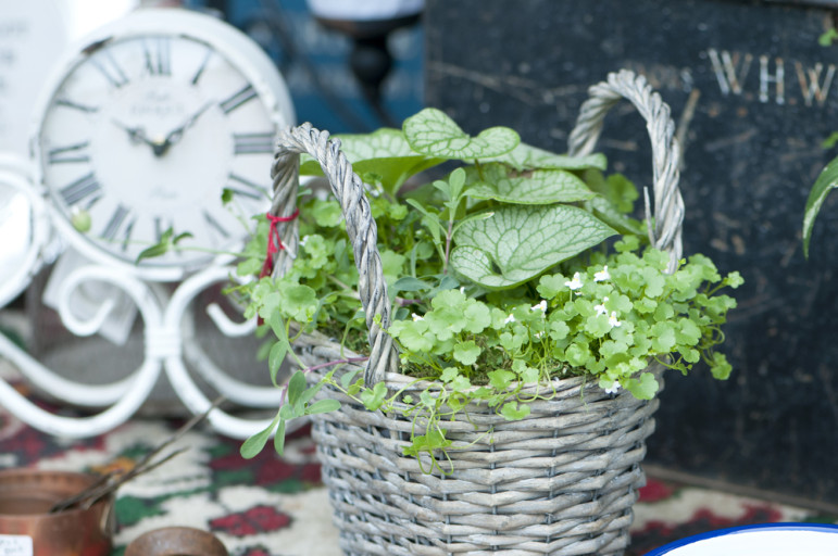 Garden-Planters-3-771x512