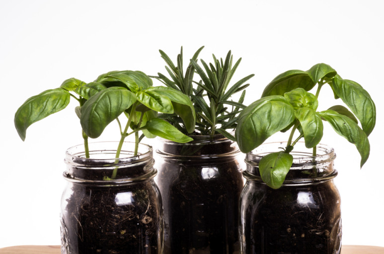 Garden-Planters-4-773x512