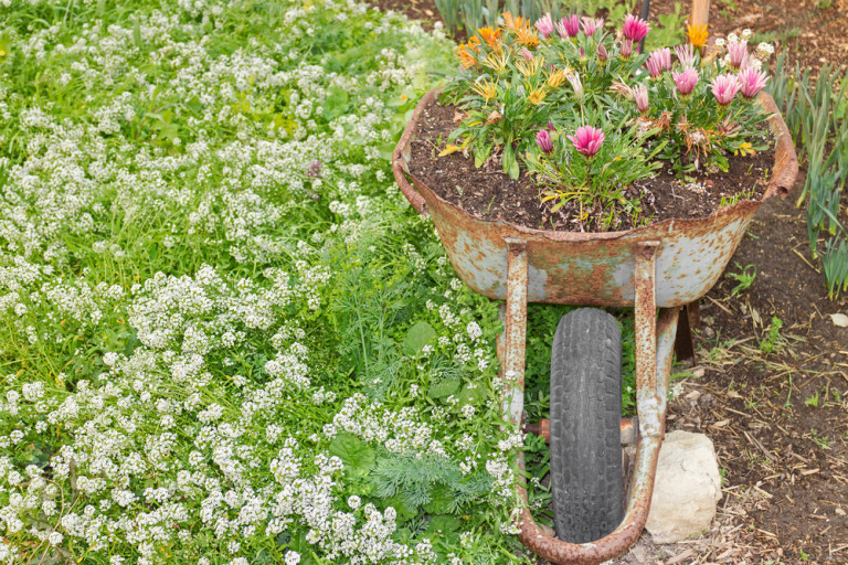 Garden-Planters-768x512