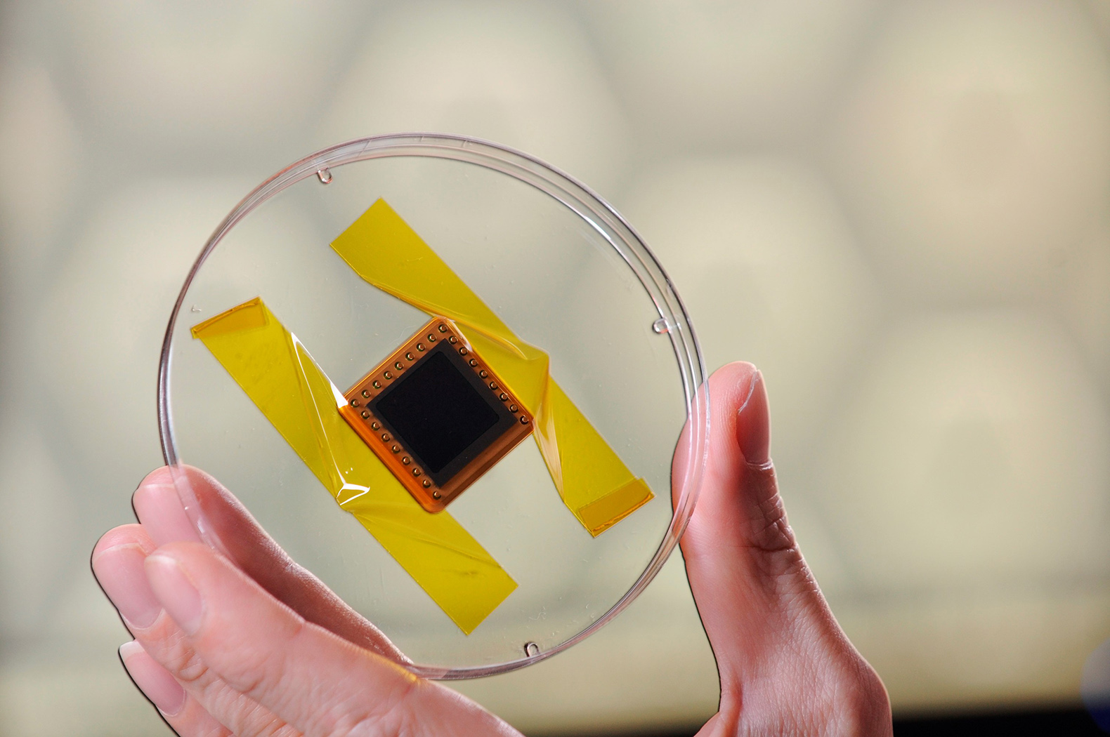 Georgia-Tech-3-D-Solar-Cells