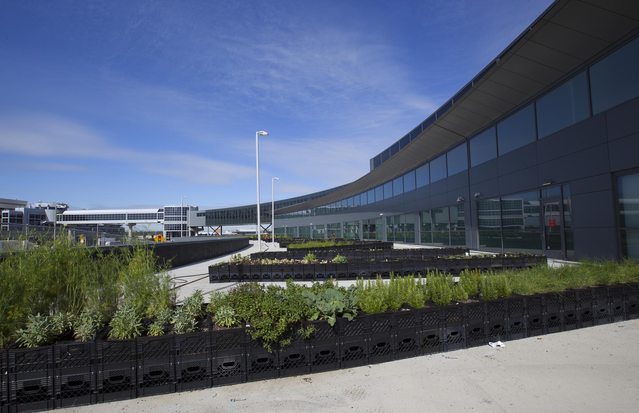 Jet_Blue_JFK_garden2_JB_resize