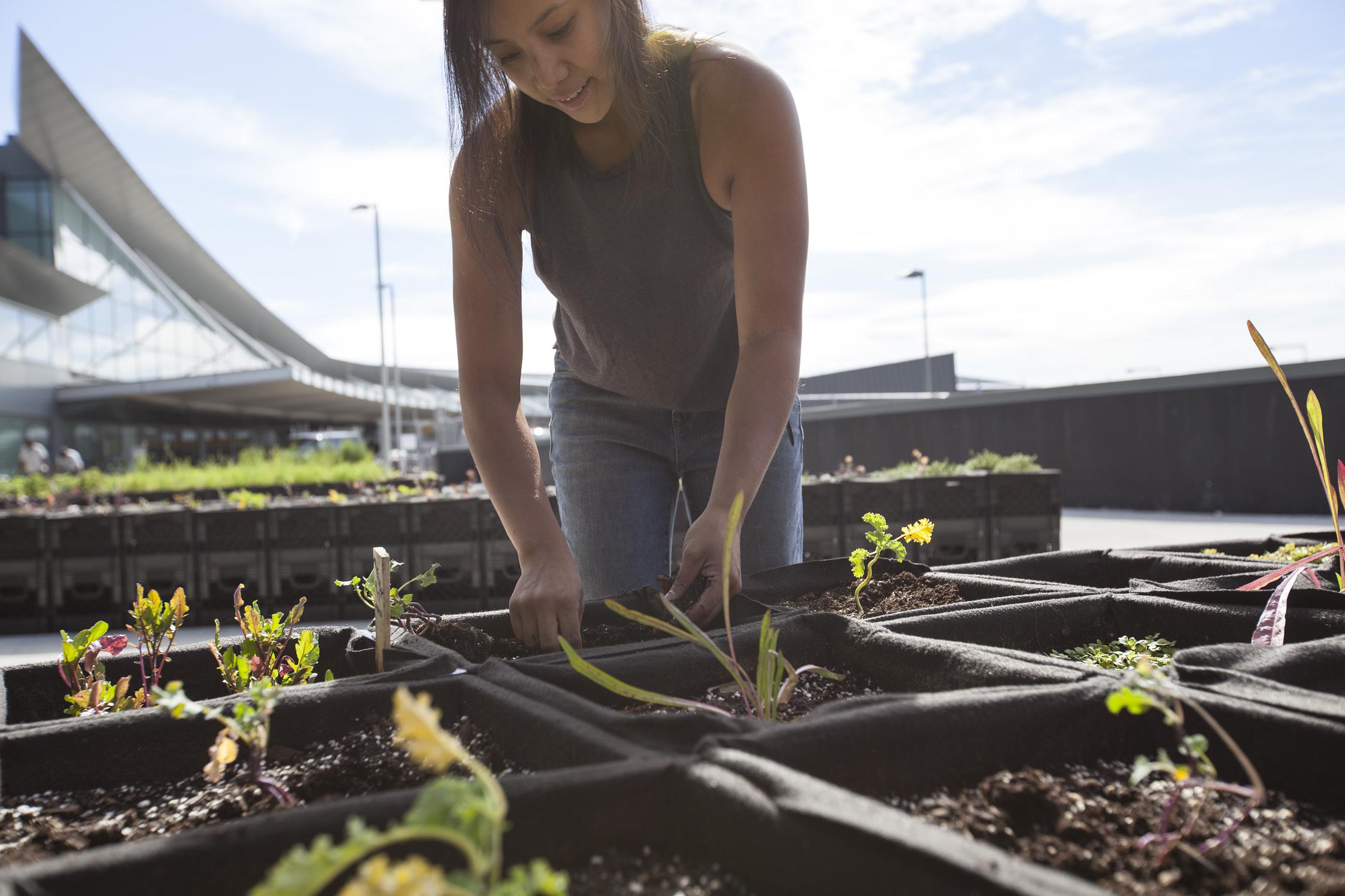 Jet_Blue_JFK_garden_JB_resize