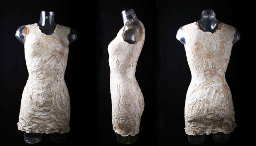 Mushroom-Dress-889x509