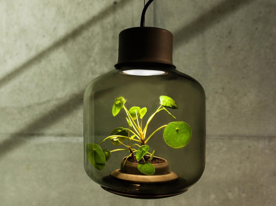 Mygdal-Plantlamp-Hanging-889x663