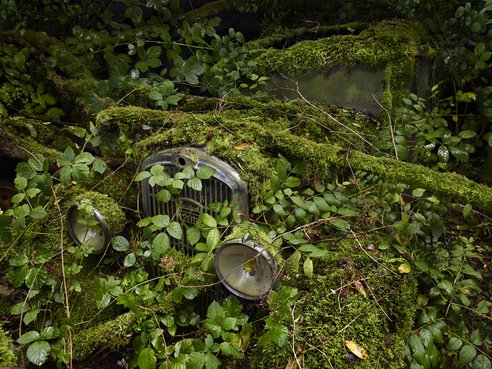 ParadiseParking_18_PeterLippmann.jpg.492x0_q85_crop-smart