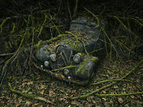 ParadiseParking_8_PeterLippmann.jpg.492x0_q85_crop-smart