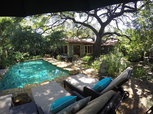 Park-Lane-Pool-and-tree