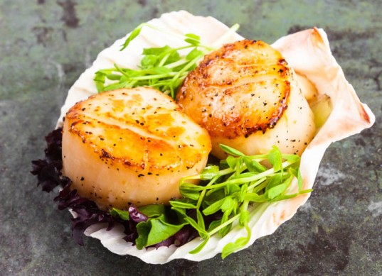 Scallops