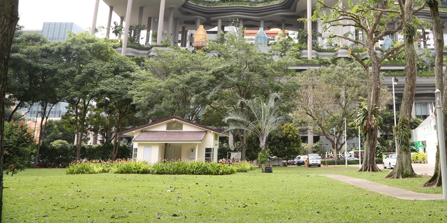 Singapore3