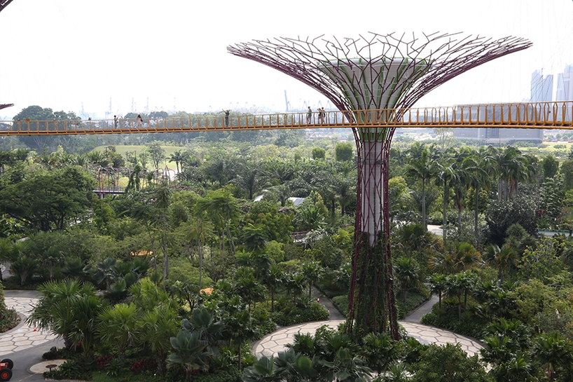 Singapore4