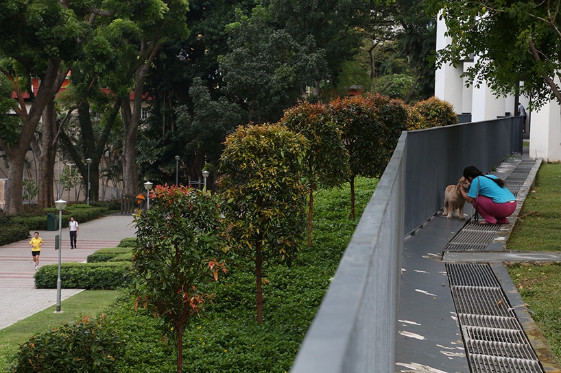 Singapore7