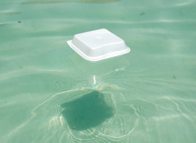 Styrofoam.jpg.662x0_q70_crop-scale