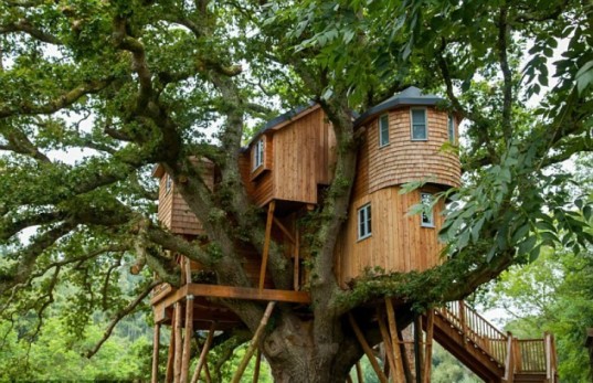 Treehouse