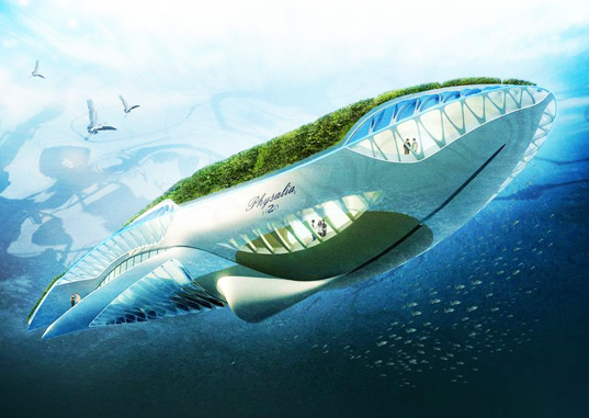 Whale