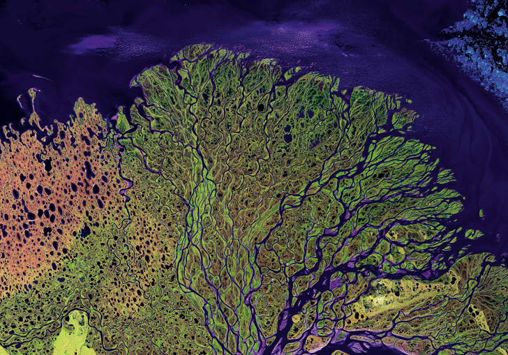 Yaac cover