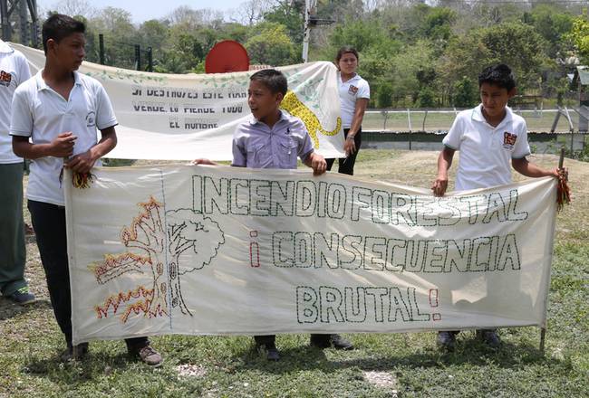 anti-forest-fire-banner2