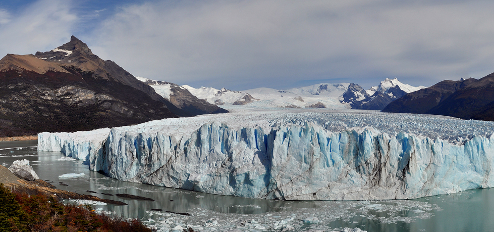artic