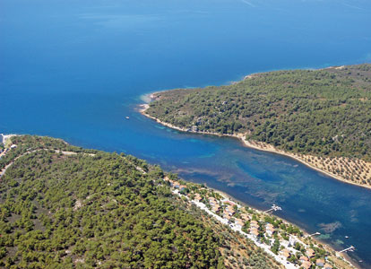 artificial-reef-project-slated-for-gulf-of-edremit-2011-08-11_l