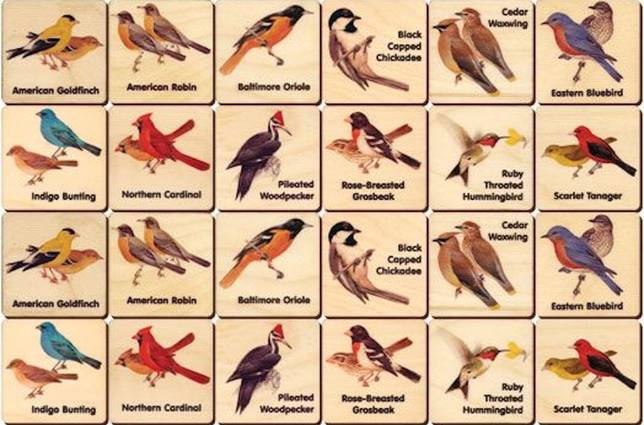 backyard_birds.jpg.644x0_q70_crop-smart