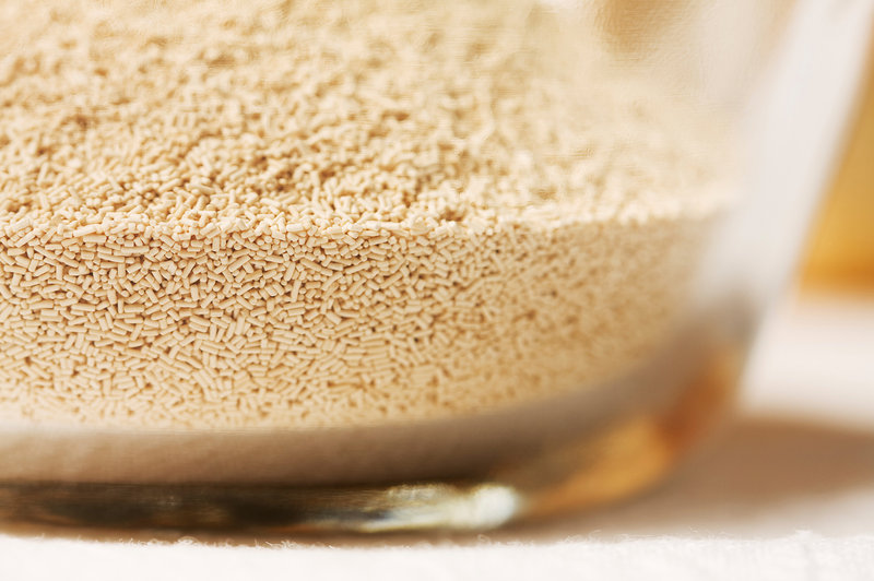 bakers-yeast