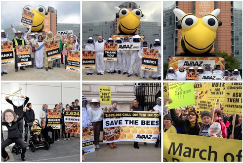 bees2