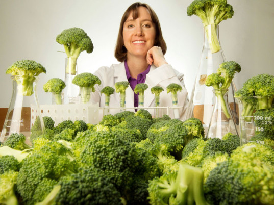 brocoli2