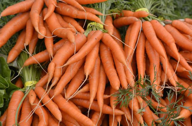 bunches_of_carrots.jpg.662x0_q70_crop-scale