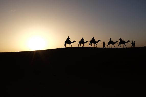 camels-in-silhouette-e1471906408392-572x381
