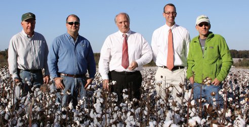 cotton-of-the-carolinas