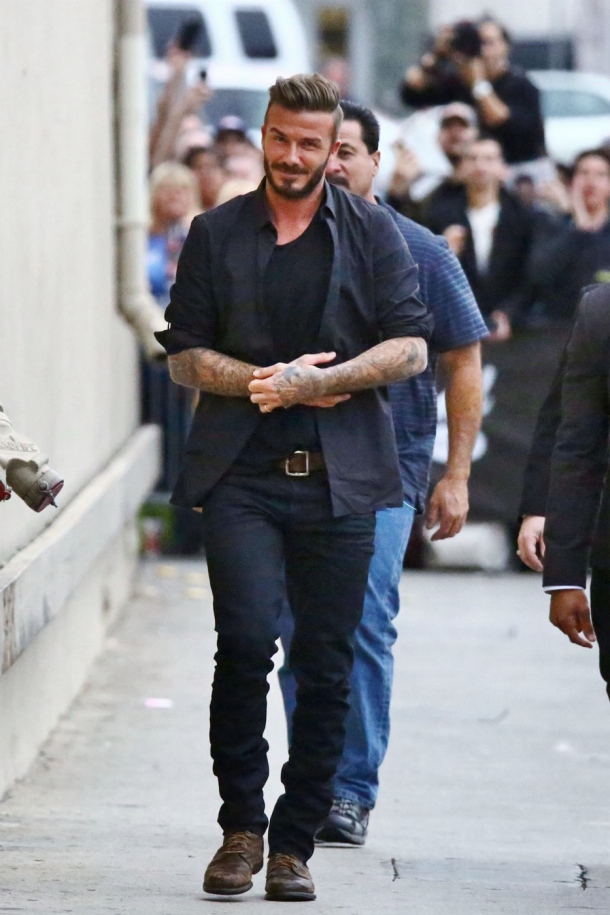 david