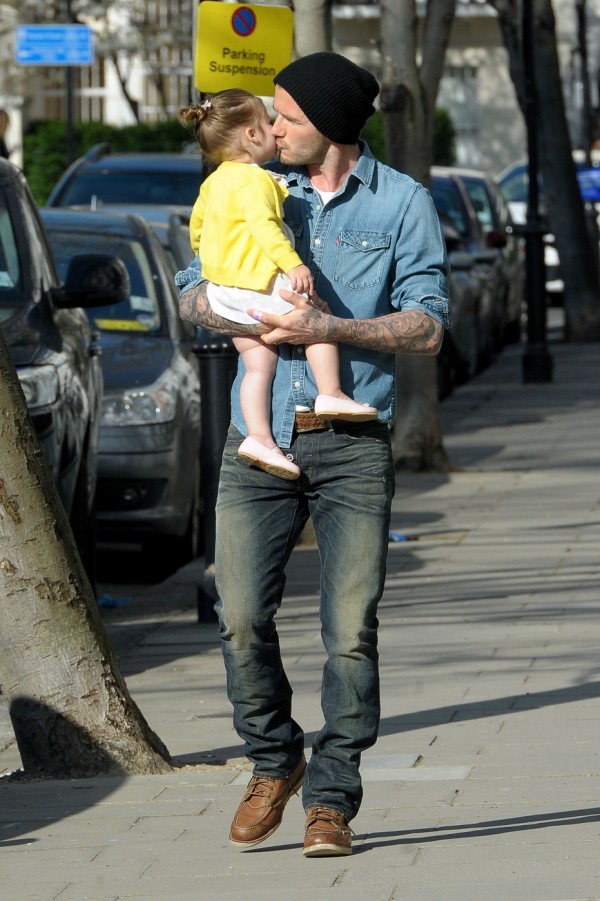 david